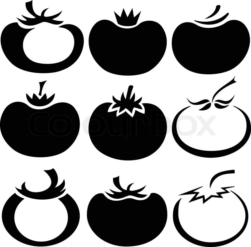 800x788 Tomato Icon Vector Illustration Stock Vector Colourbox
