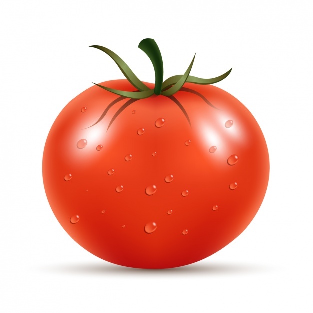 626x626 Tomato Vectors, Photos And Free Download