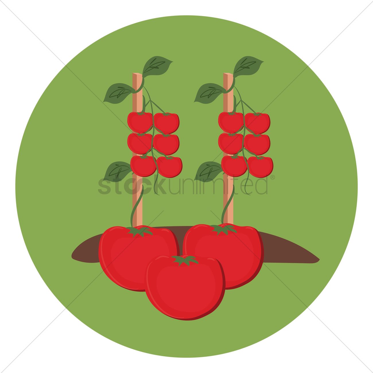 1300x1300 Tomato Icon Vector Image