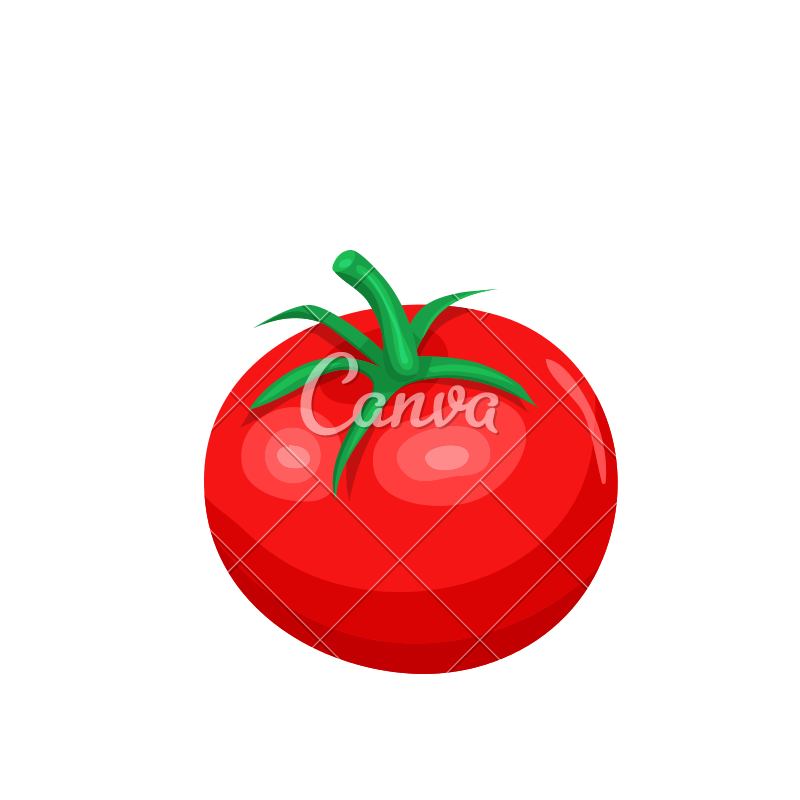 800x800 Vector Tomato Icon Design