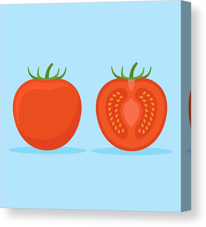 678x750 Tomato And Slice Flat Style Icon Vector Illustration Canvas