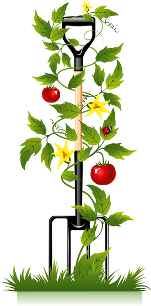 296x600 Spade And Tomato Vector Free Vector In Encapsulated Postscript