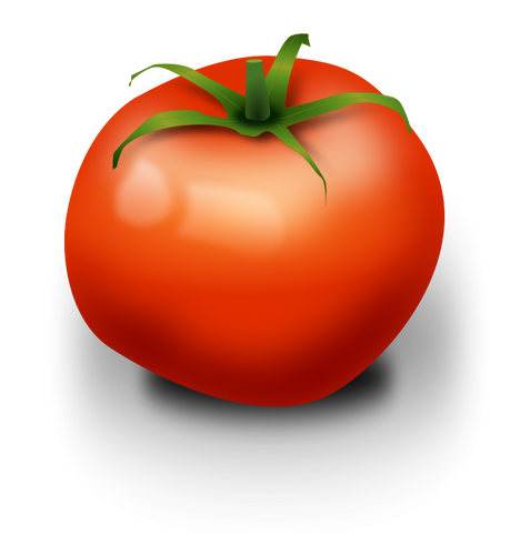 477x500 Tomato Plant Clip Art