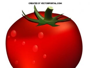 310x233 Tomato Plant Clip Art Free Vectors Ui Download