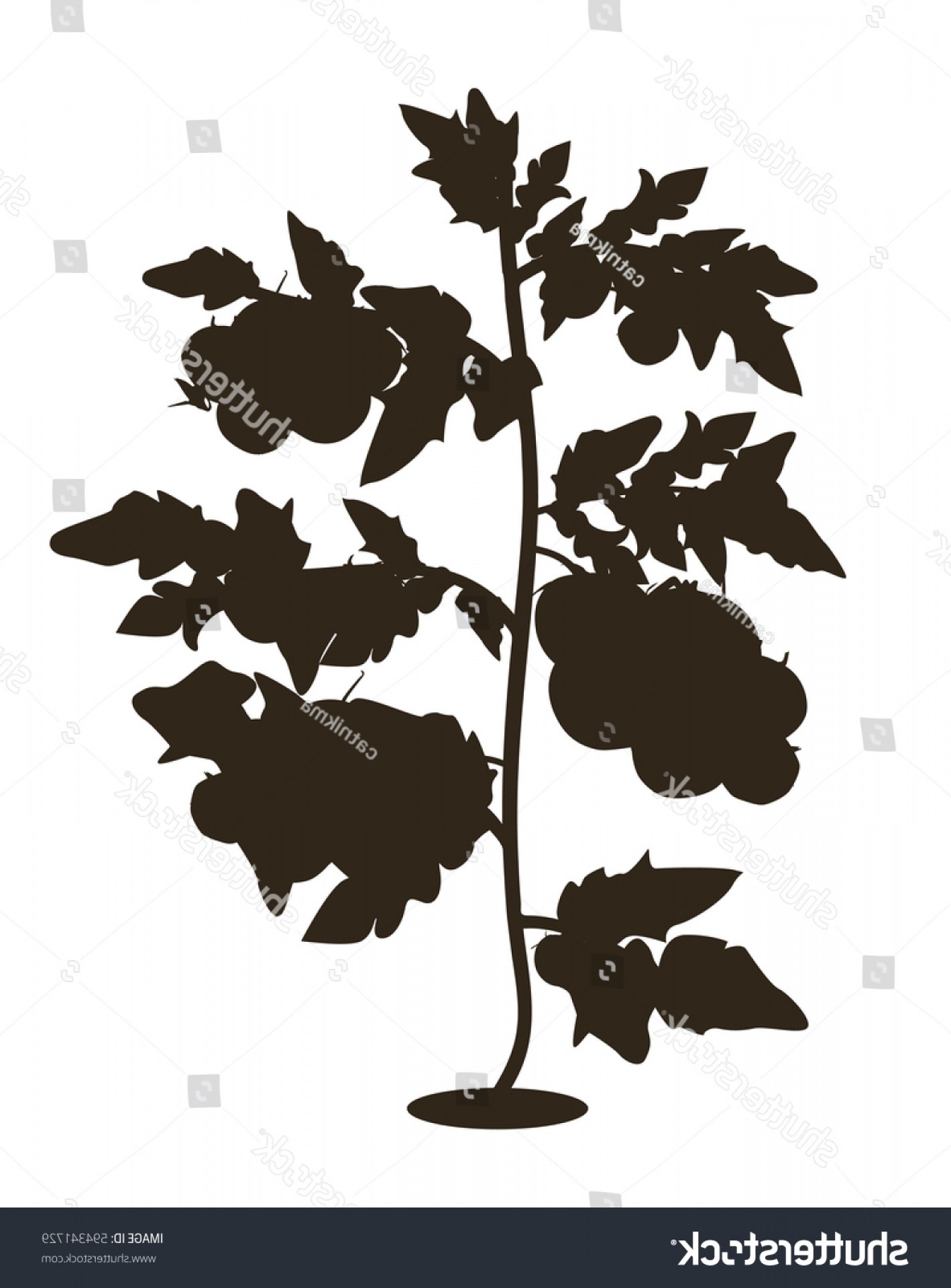 1418x1920 Vector Silhouette Tomato Plant Bush Tomatoes Catchsplace