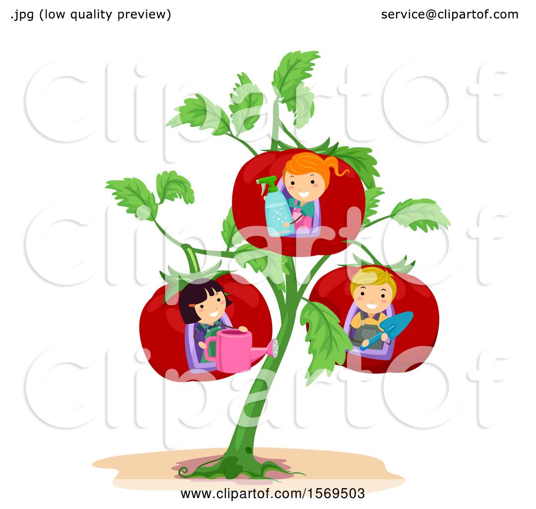 1080x1024 Clipart Of A Giant Tomato Plant With Children And Garden Tools
