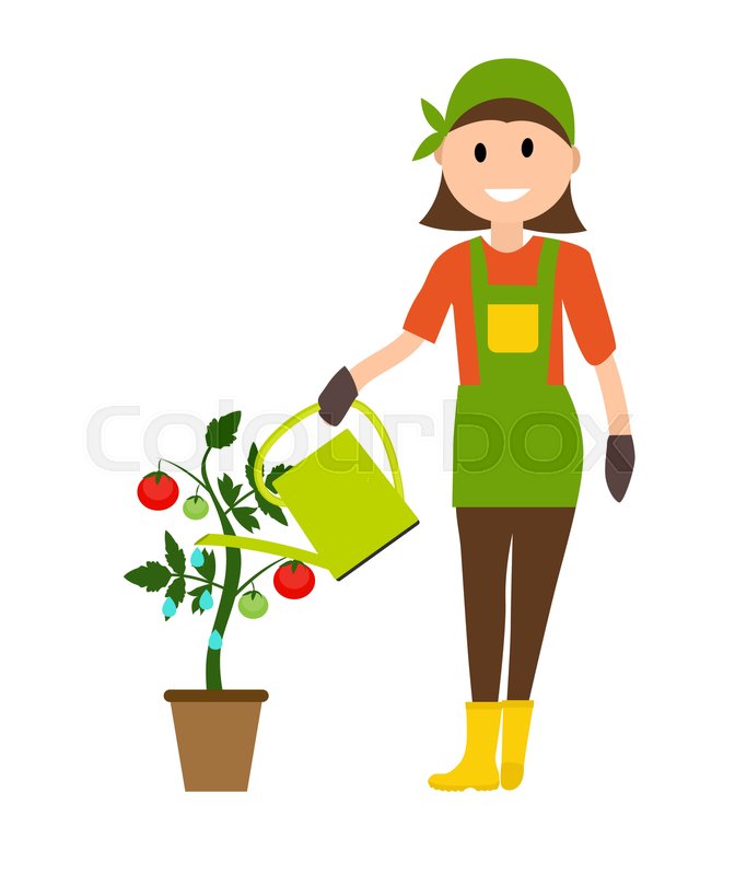 672x800 Farmer Gardener Woman With Watering Stock Vector Colourbox