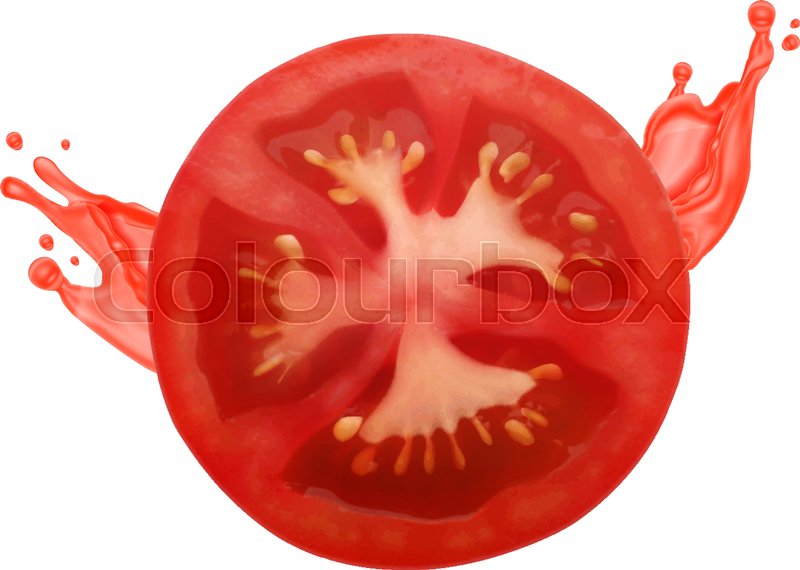 800x570 Tomato Slice With Juice Fresh Stock Vector Colourbox