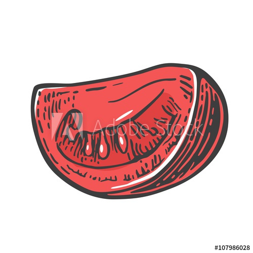 500x500 Tomato Slice Vector Engraved Illustration Isolated On White