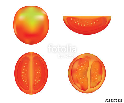 500x417 Tomato Slice Vector And Illustration Stock Image And Royalty Free