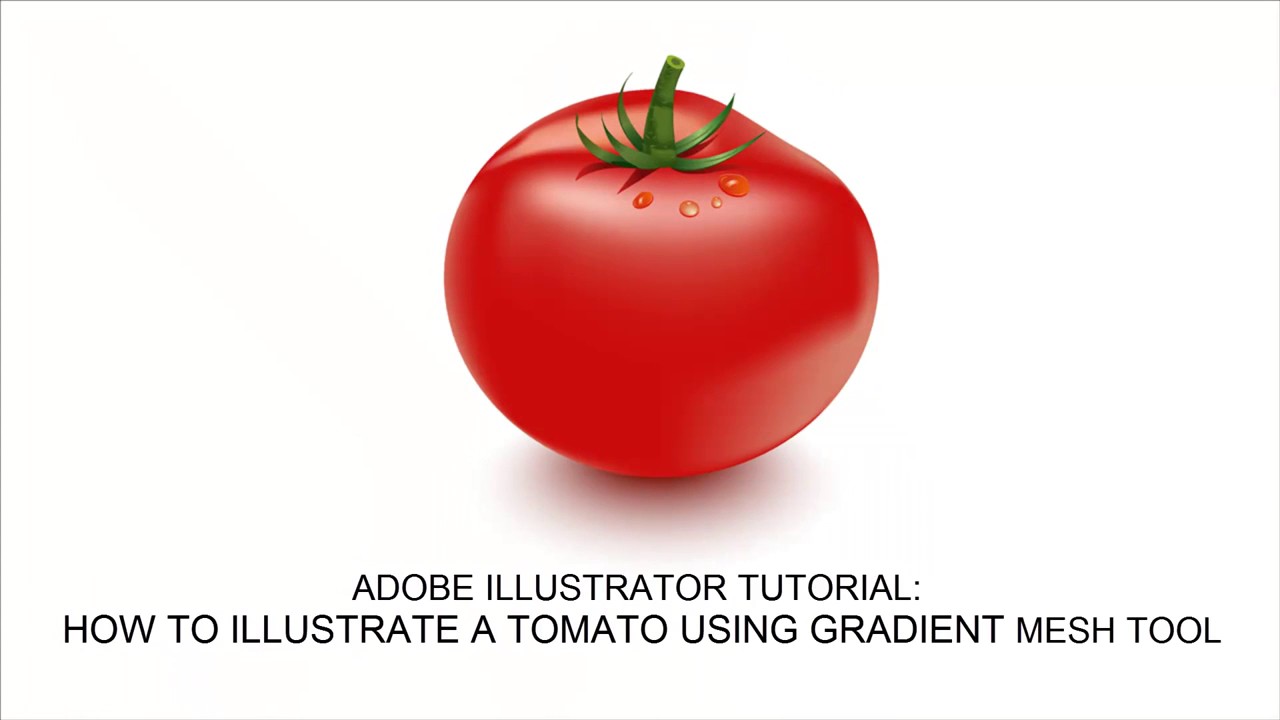 1280x720 How To Create A Tomato Vector In Adobe Illustrator