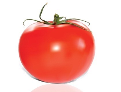 420x319 Tomato Vector Free Vectors Ui Download
