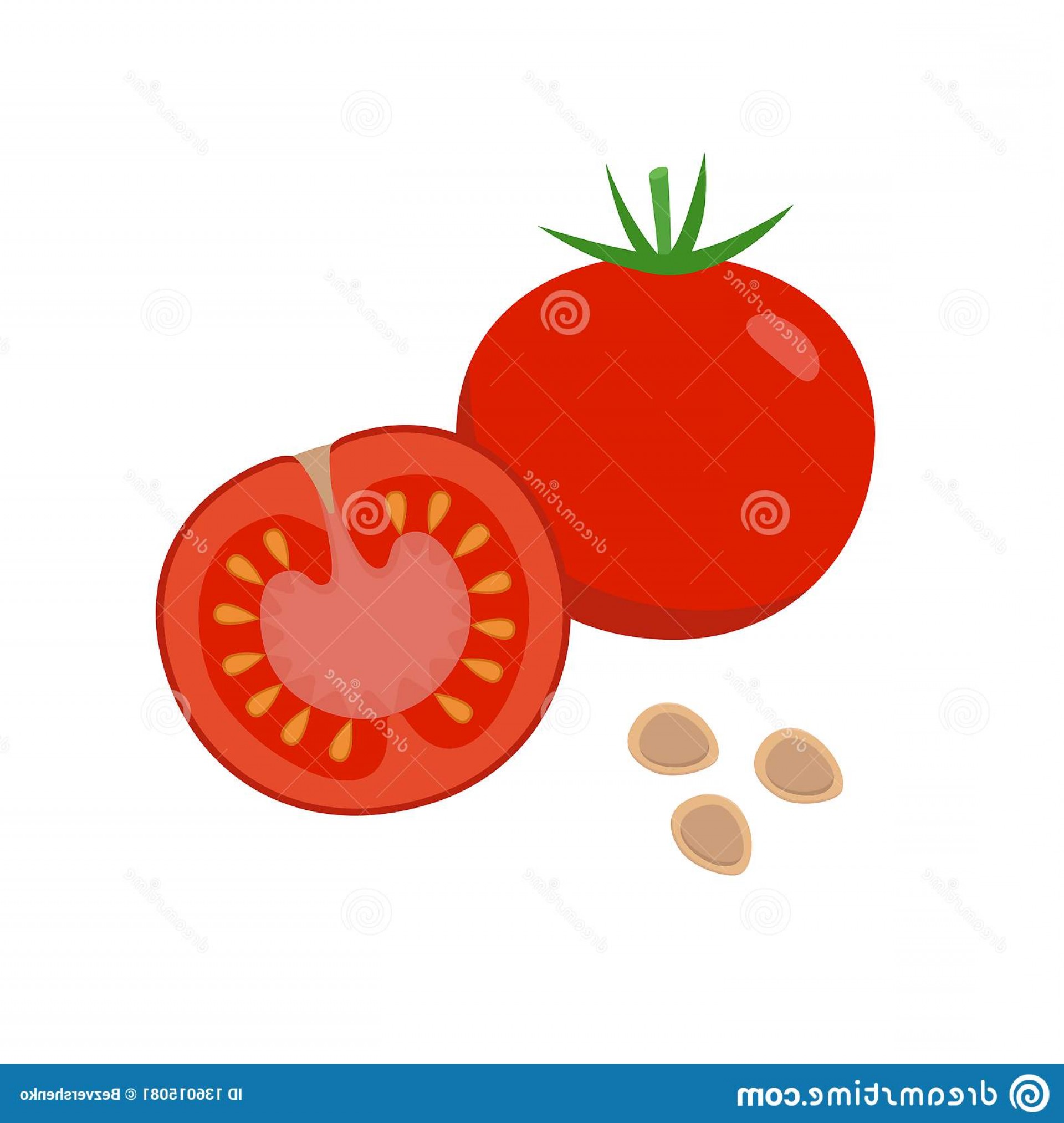 1920x2026 Tomato Vector Flat Illustration Whole Halved Tomato Seeds Isolated
