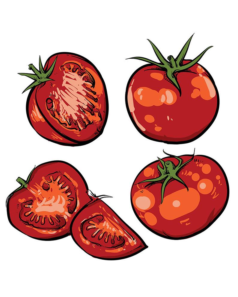 794x993 Off Sale Tomato Vector Drawing Isolated Tomato And Sliced Etsy