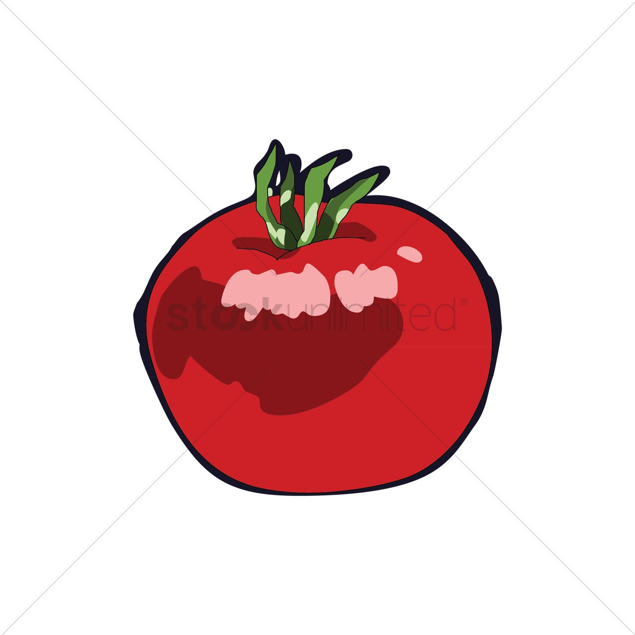 1300x1300 Tomato Vector Image