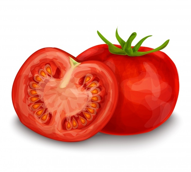 626x563 Tomato Vectors, Photos And Free Download