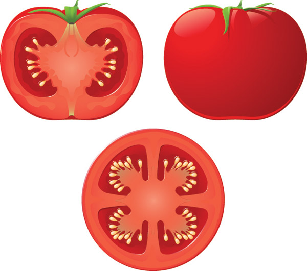 600x531 Tomatoes