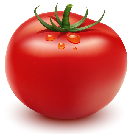 450x450 How To Illustrate A Tomato In Adobe Illustrator