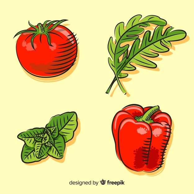 626x626 Tomato Vectors, Photos And Free Download