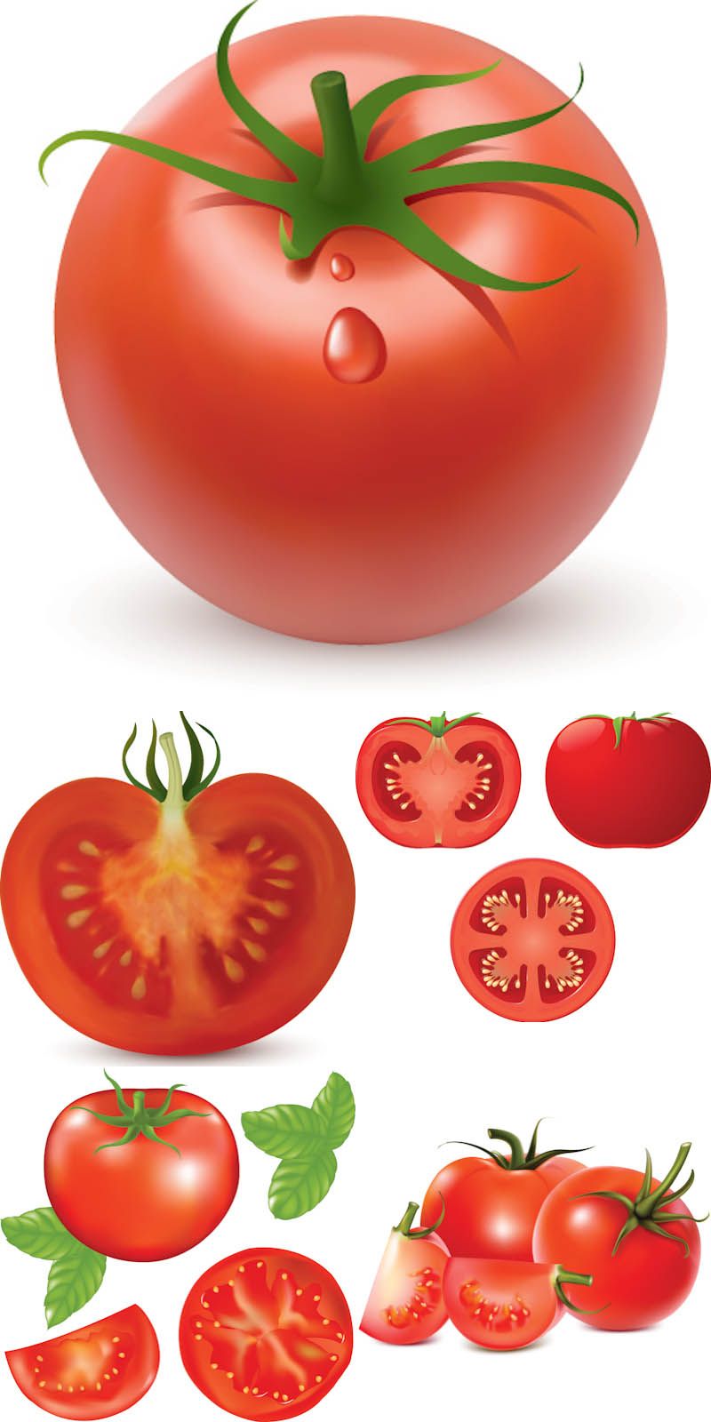 800x1600 Tomatoes Vector Ab Idea Board In Tomato Drawing, Food