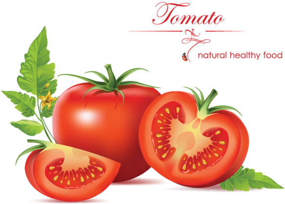 584x418 Vegetables Tomato Vector Graphics Free Vector In Encapsulated