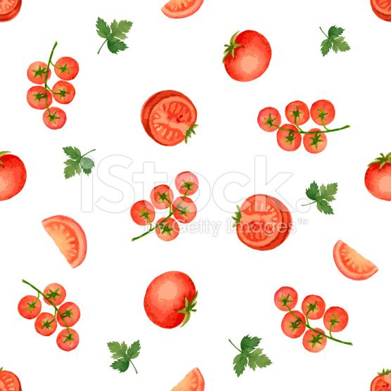 556x556 Watercolor Seamless Pattern Of Tomato, Vector Illustration