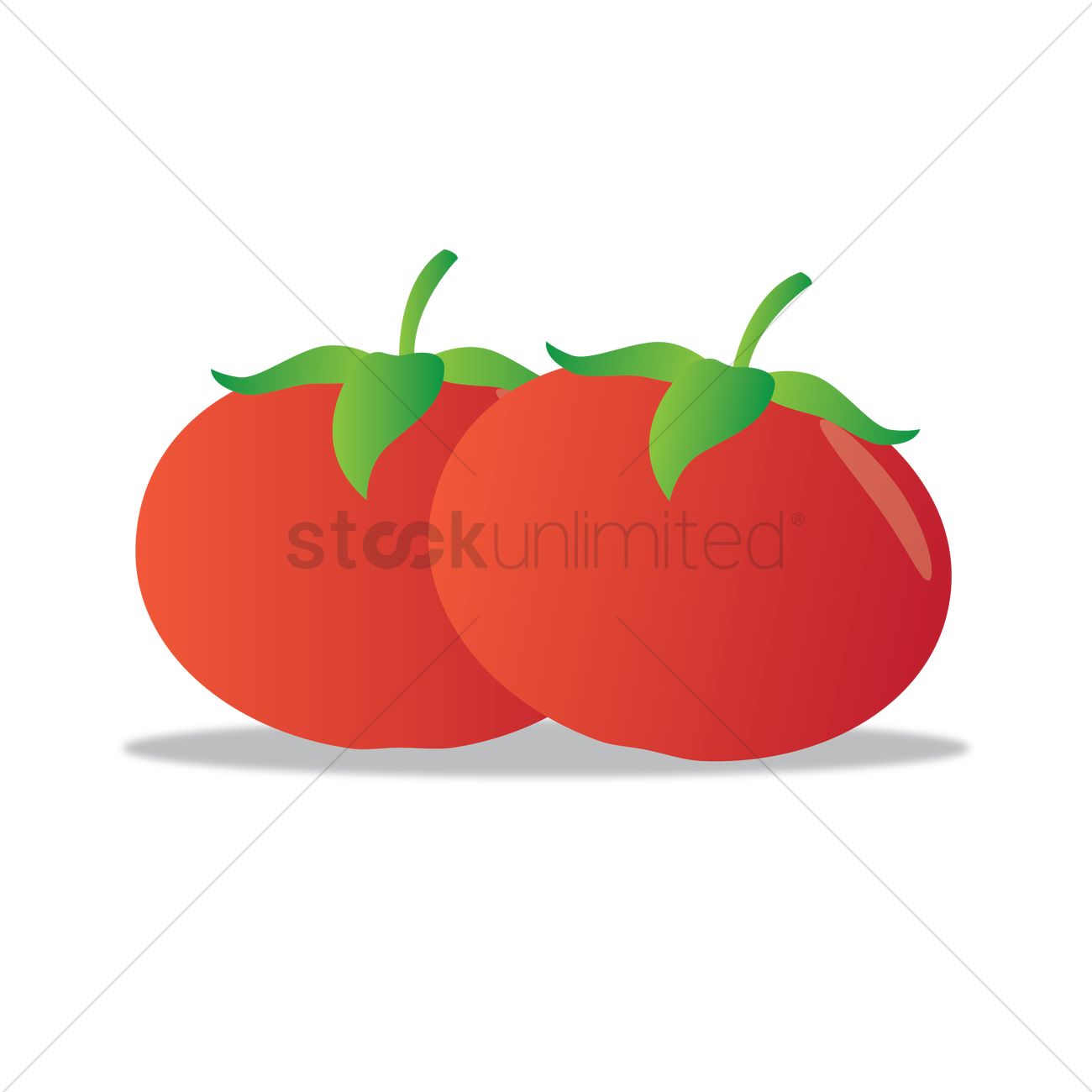 1300x1300 Free Tomato Vector Image
