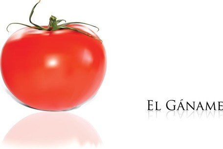 456x306 Free Tomatos Clipart And Vector Graphics