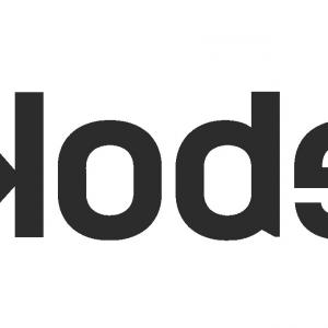 300x300 Auburn University Logo Vector Hoodamathrun