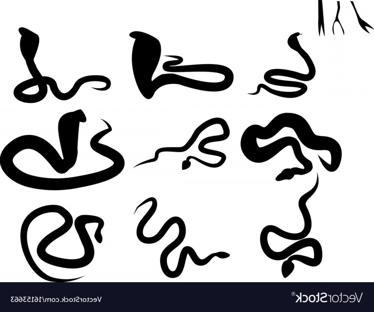 1200x1004 Snake Tongue Vector Savoyuptown