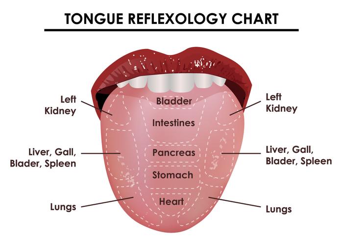 Tongue Vector at Vectorified.com | Collection of Tongue Vector free for ...