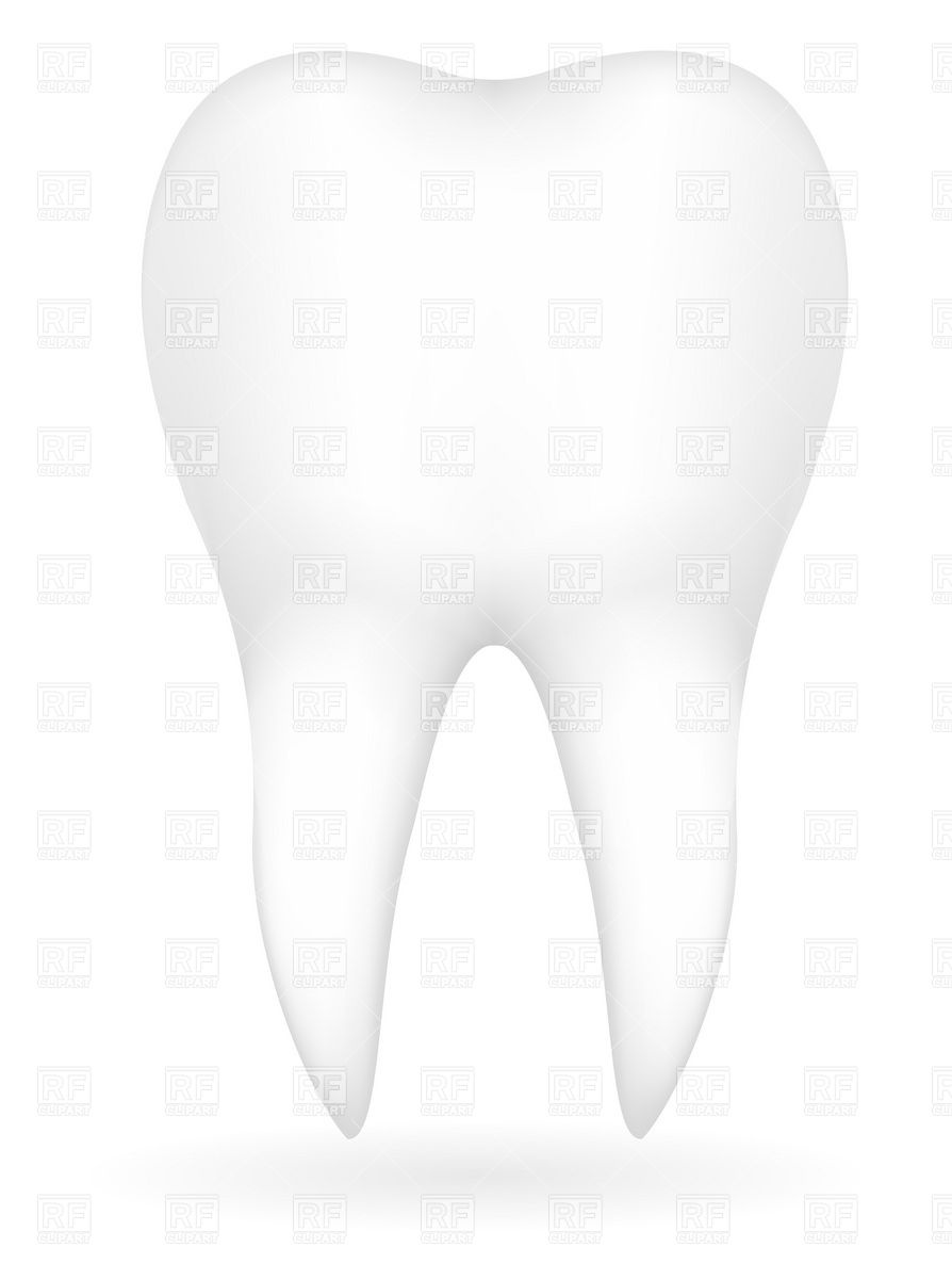 894x1200 Tooth