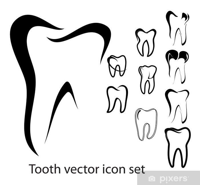 700x648 Tooth Vector Icon Set Wall Mural
