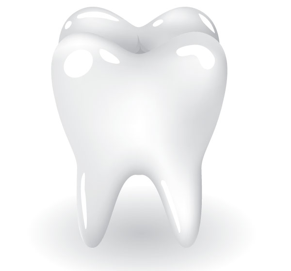600x560 Free Tooth Vector Art Download Free Vector Art Free Vectors