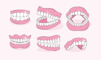 335x200 Free Collection Of Teeth Clipart False Tooth Download Transparent