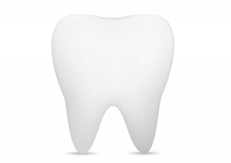 800x565 Gradient Mesh Tooth Free Vector Illustration