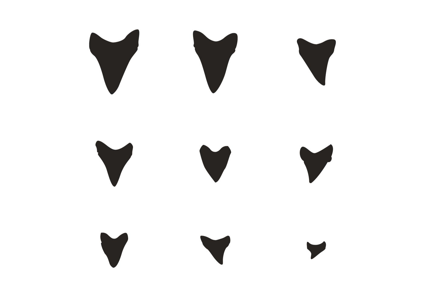 1400x980 Shark Teeth Silhouette Block Printing Shark Tooth Tattoo