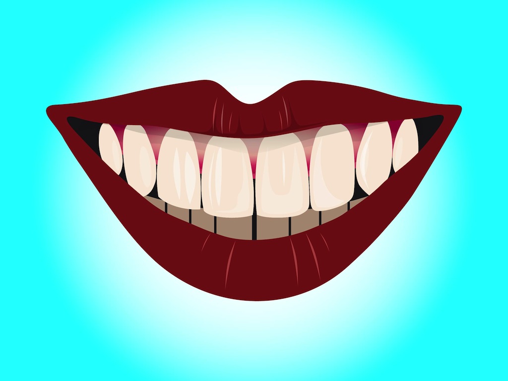 1024x768 Smile With Teeth Vector Art Graphics