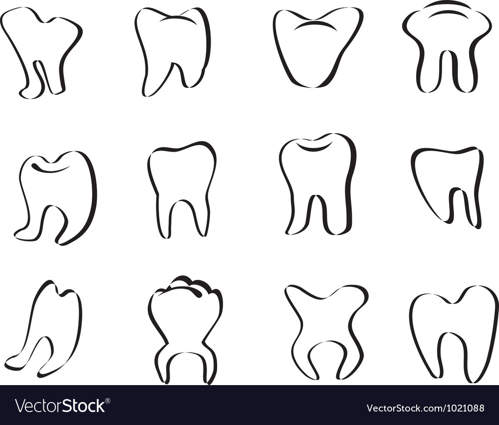 Tooth Vector Art At Vectorified Collection Of Tooth Vector Art Free For Personal Use Tooth Vector Art At Vectorified Collection Of Tooth Vector Art Free For Personal Use