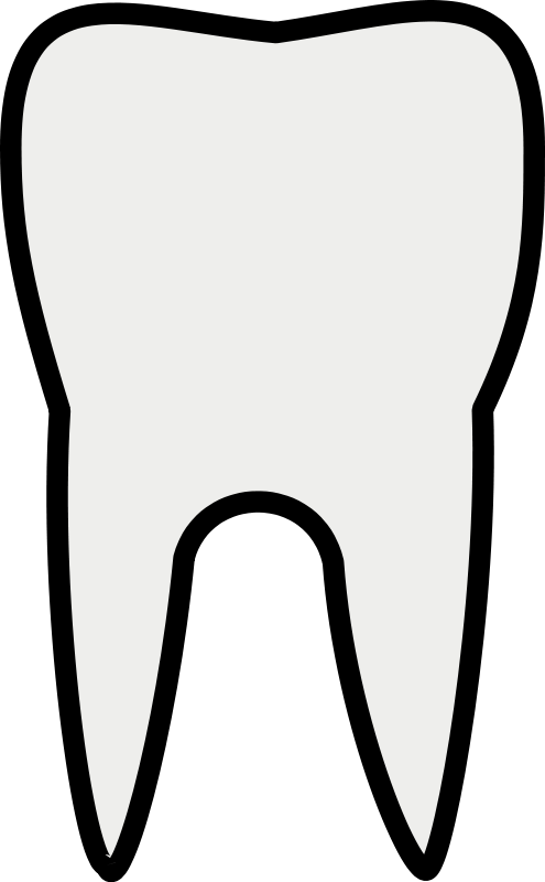 495x800 Tooth Images Free Download Clip Art