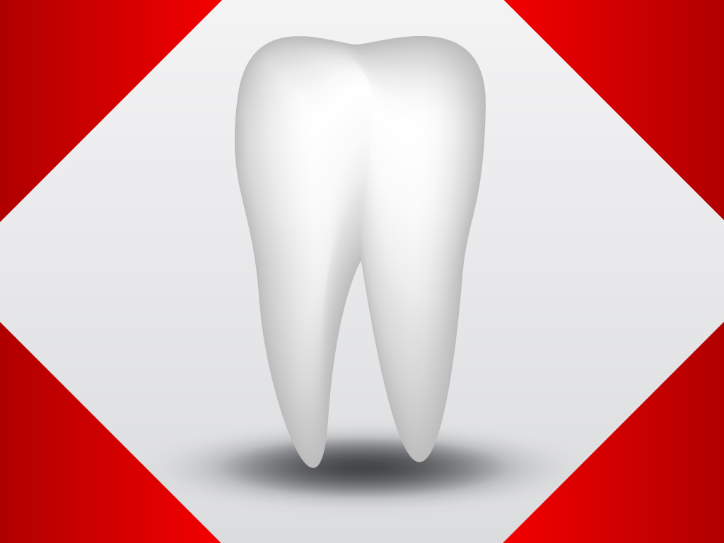1024x768 Vector Tooth