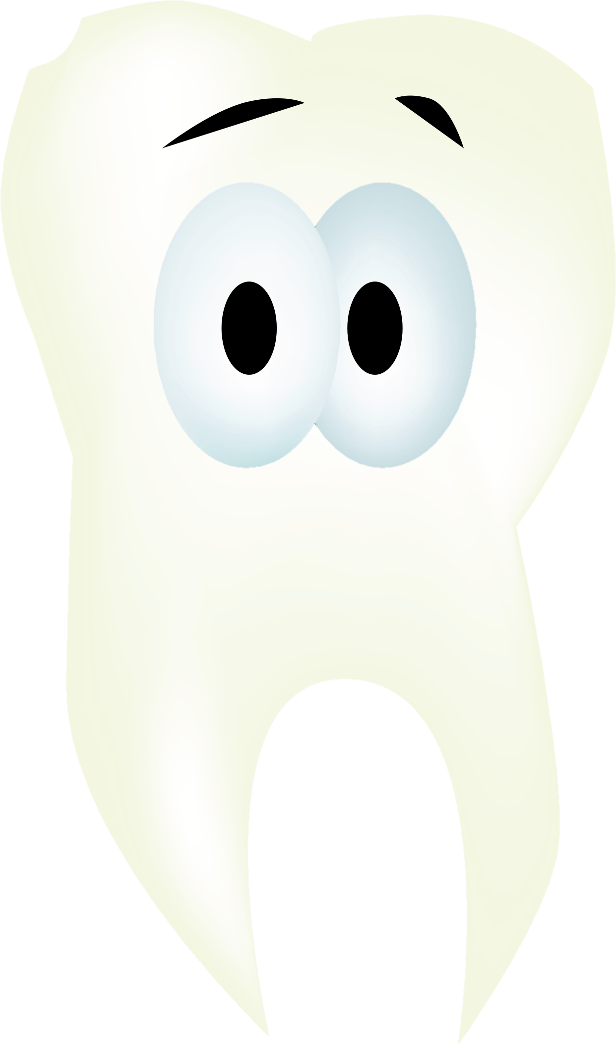 1242x2105 Healthy Tooth Vector Clipart Image
