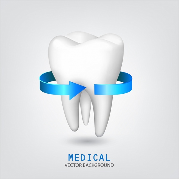 600x600 Tooth Free Vector In Adobe Illustrator