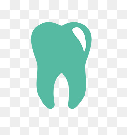 260x277 Tooth Png Vector Free Tooth Vector Transparent Images