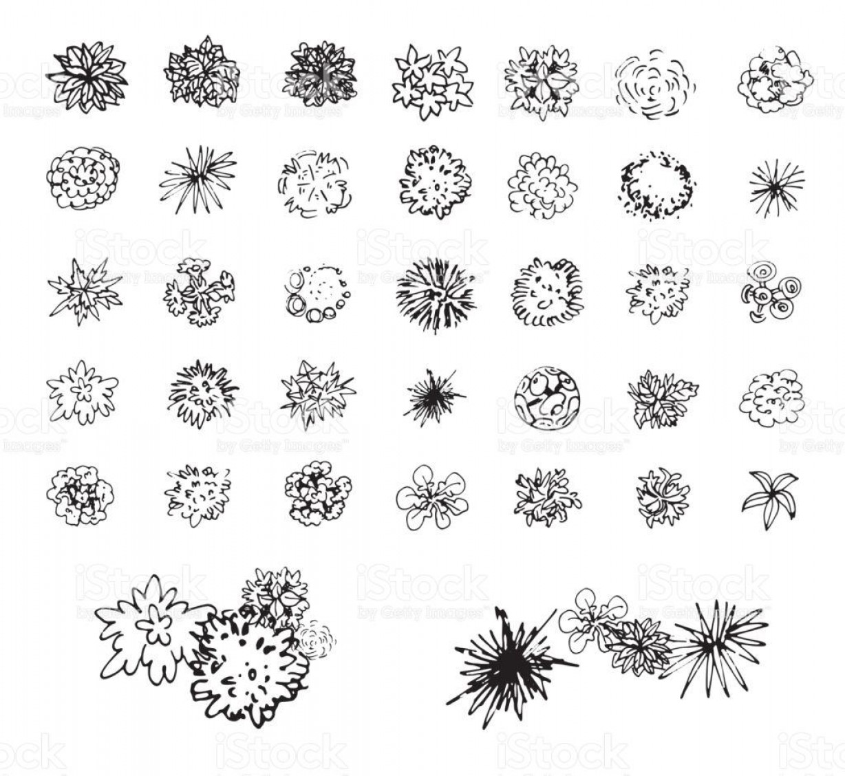 Best Free Trees Bushes And Shrubs Sketch Top View For Landscape 1228x1128 Best Free Trees Bushes And Shrubs Sketch Top View For Landscape