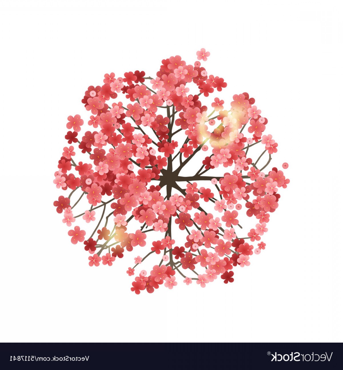 Spring Tree Top View Vector Soidergi 1200x1296 Spring Tree Top View Vector Soidergi