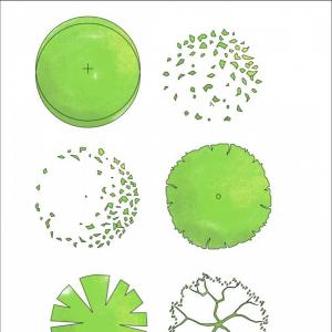 Top View Different Plants Trees Vector Cultracing 300x300 Top View Different Plants Trees Vector Cultracing