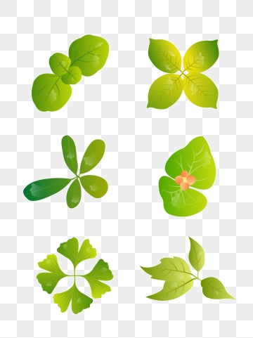 Top View Tree Png Images Vector And Free Download 360x481 Top View Tree Png Images Vector And Free Download