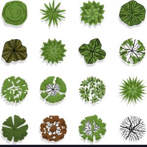 Tree Top View For Landscape Vector Wallkeeper 300x300 Tree Top View For Landscape Vector Wallkeeper