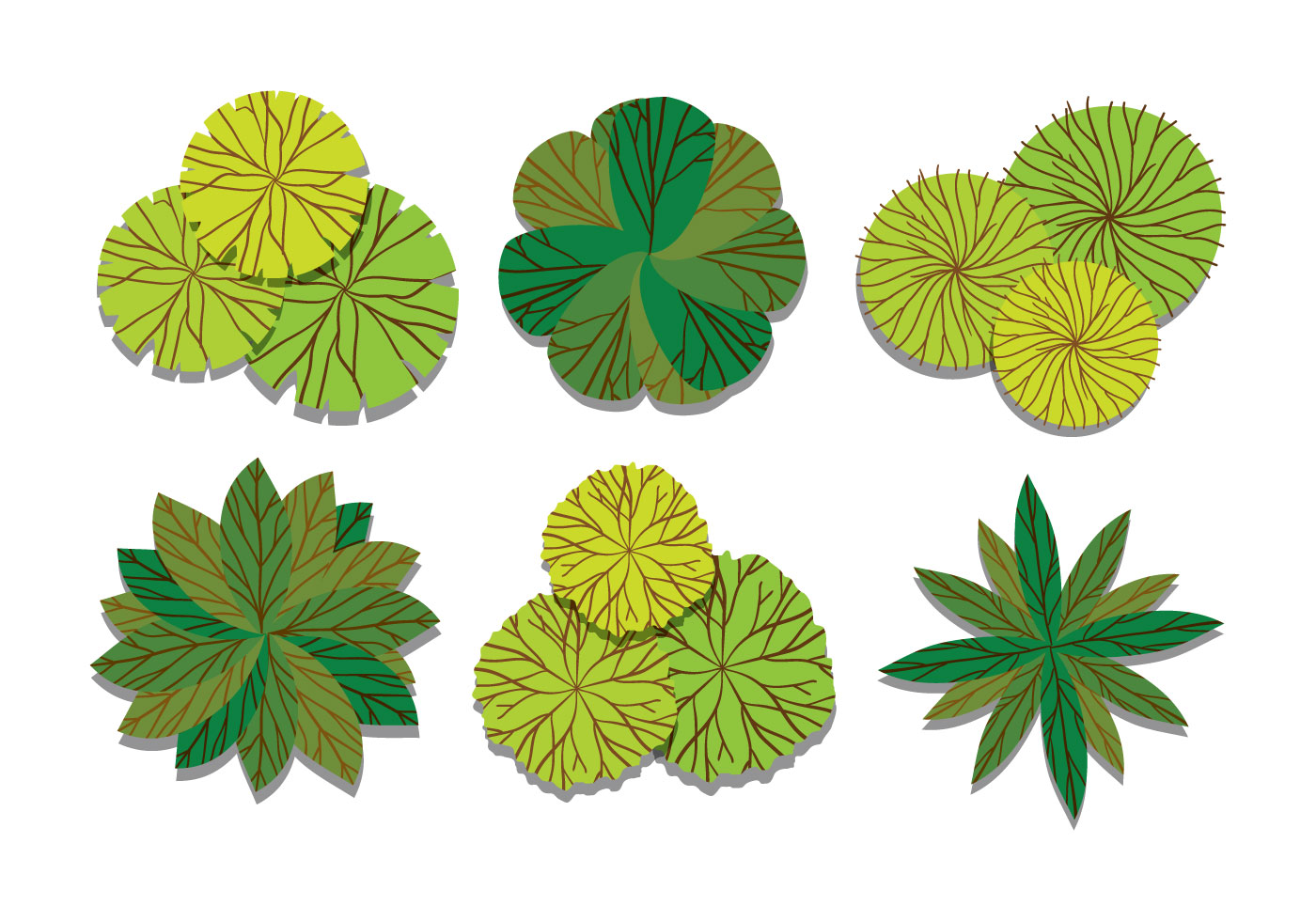 Tree Top View Free Vector Art 1400x980 Tree Top View Free Vector Art